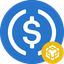 BNB_USDC
